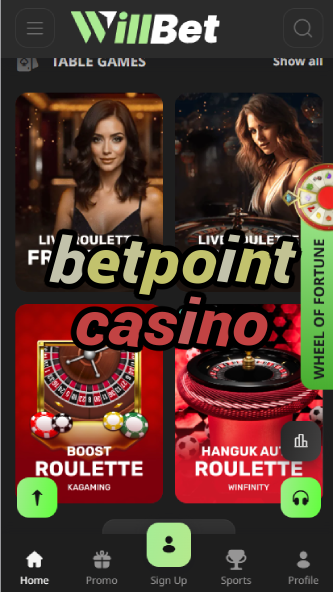 BetPoint Casino - Points-Based Casino System-casinoorder.vip