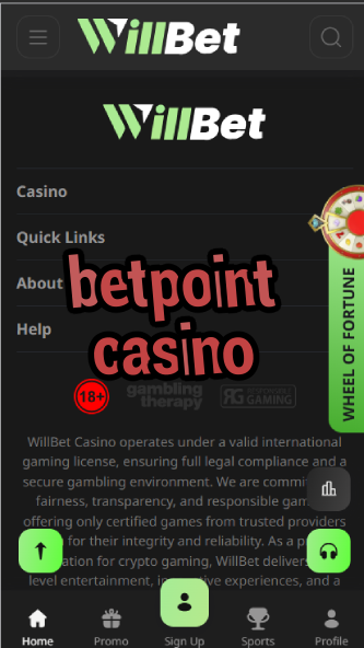 BetPoint Casino - Points-Based Casino System-casinoorder.vip
